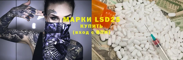 прущие грибы Абаза