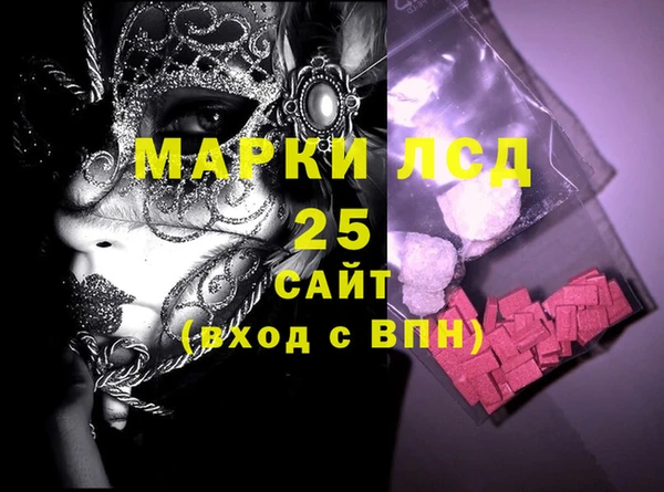 прущие грибы Абаза