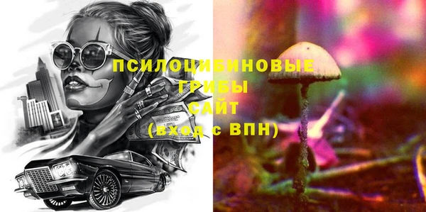 прущие грибы Абаза