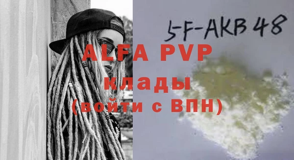 прущие грибы Абаза