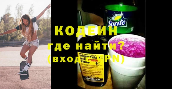 прущие грибы Абаза